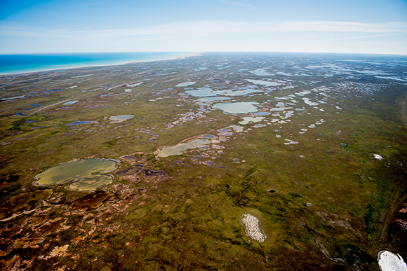 The National Parks Project : 