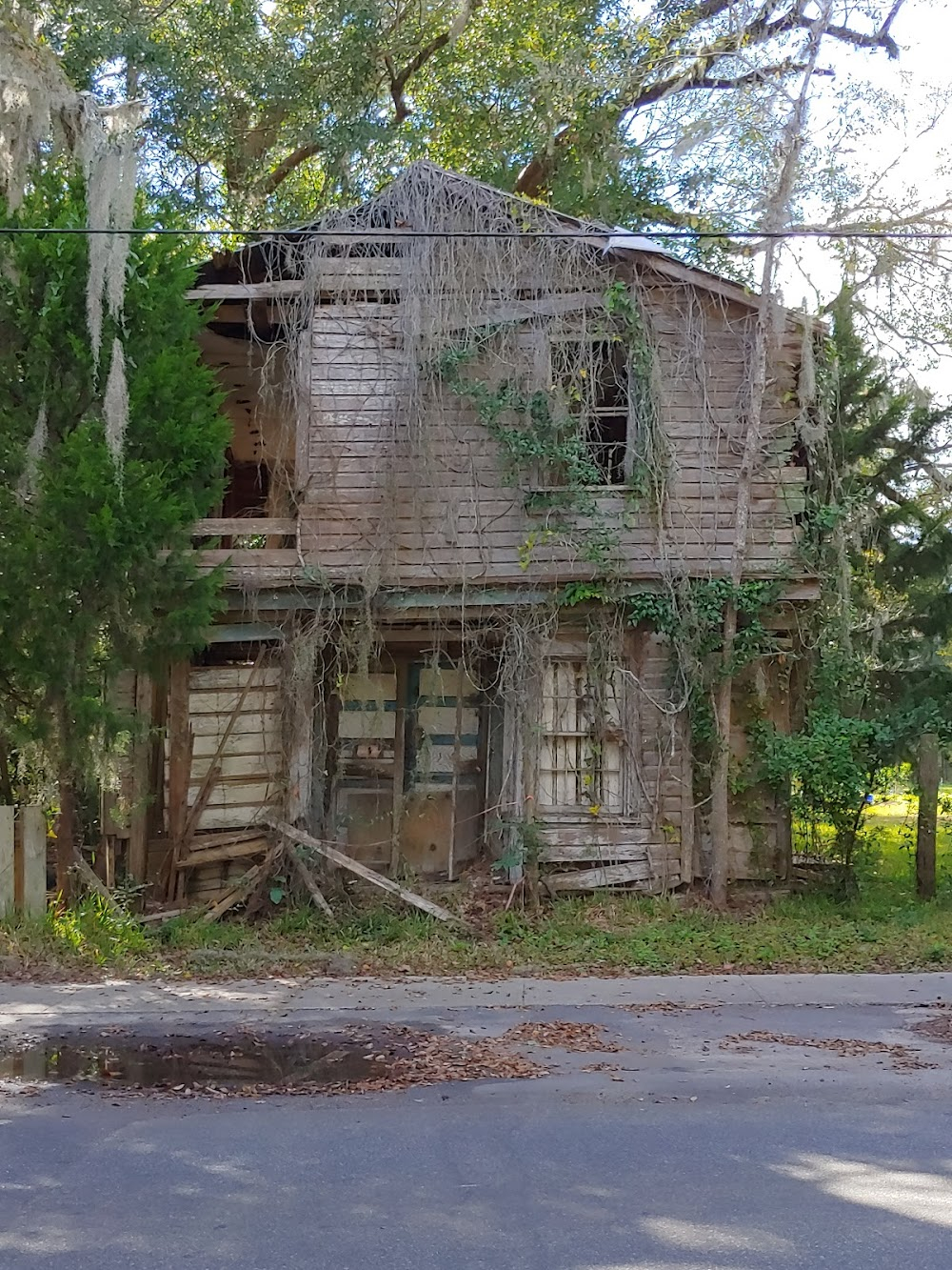 Documenting the Grey Man : plantation house