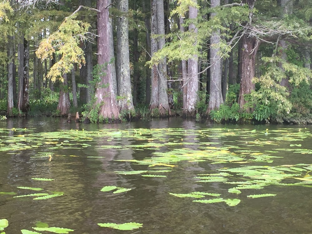 The New World : as Chickahominy River