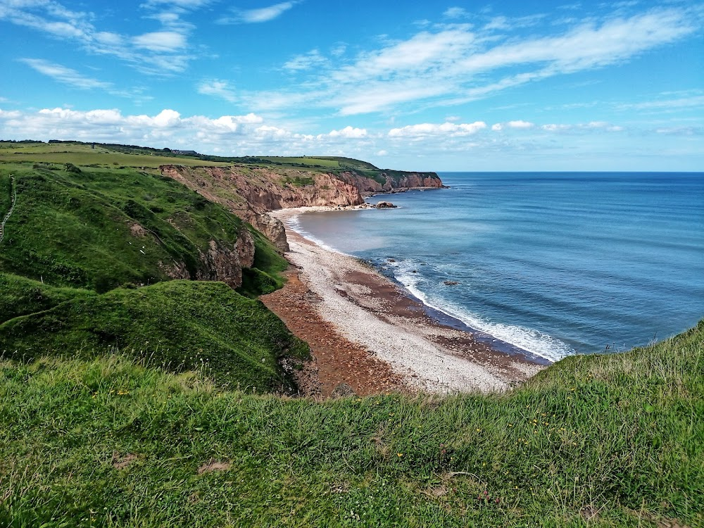 The Old Oak : beach