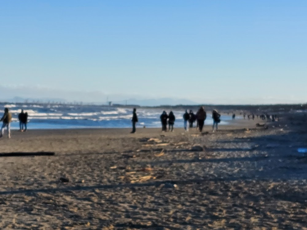 The One Who Died on the Beach on a Winter Day : exterior shots, beach