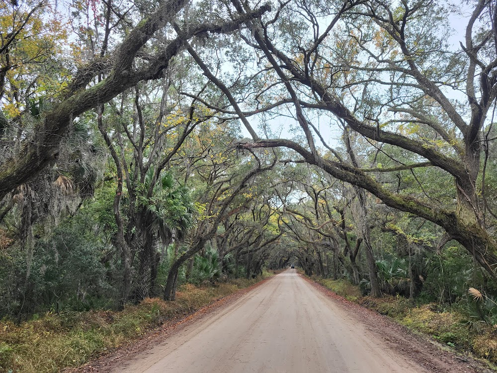 Ace Ventura: When Nature Calls : 