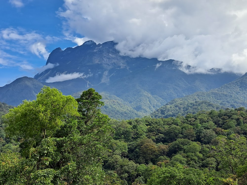 Dusty's Trail: Summit of Borneo : The Mountain