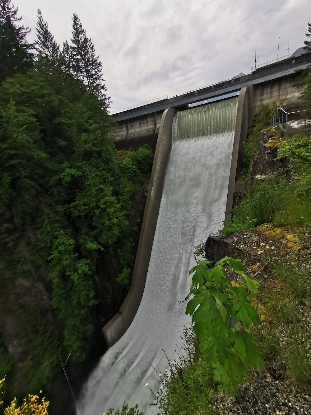 Repeaters : dam where suicide occurs