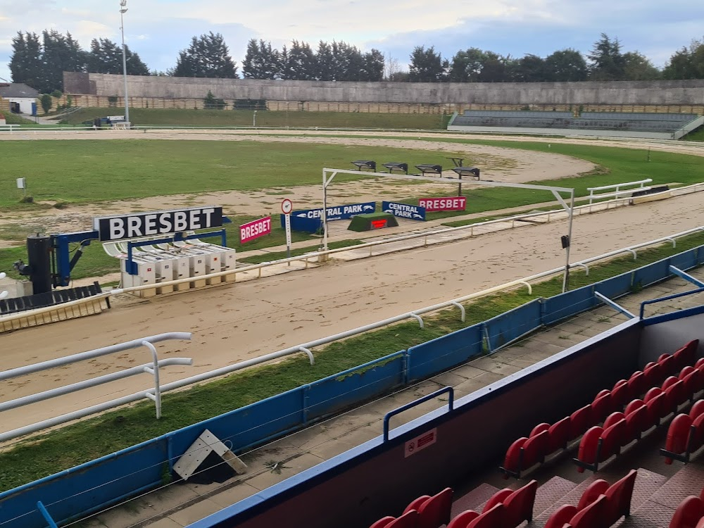 The Riddle : opening scene at greyhound racing track