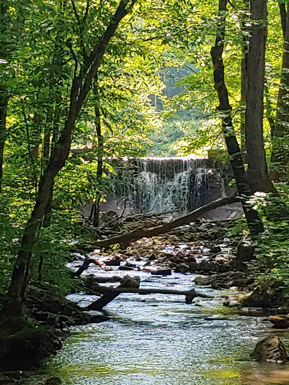 The River : TVA experimental community