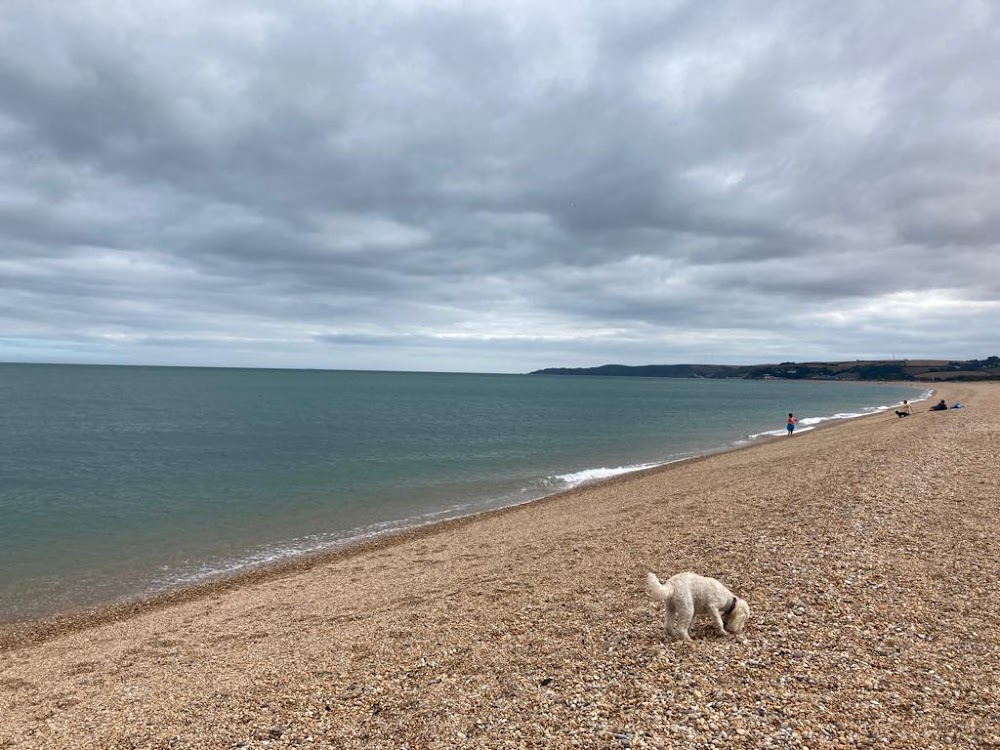 The Sailor Who Fell from Grace with the Sea : Beach that Jim and Jonathan walk down