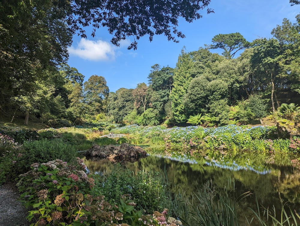 The Secret Garden : Elephant's Rhubarb in Gunnera Passage