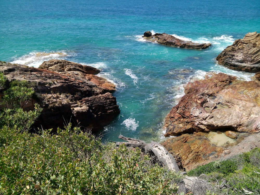 Mallacoota Stampede : 