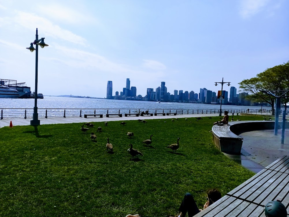 The Son : Peter jogging on the pier