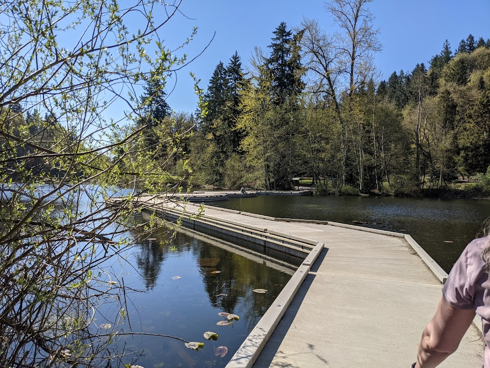 The Stairs : Mountain Pond/Swimming