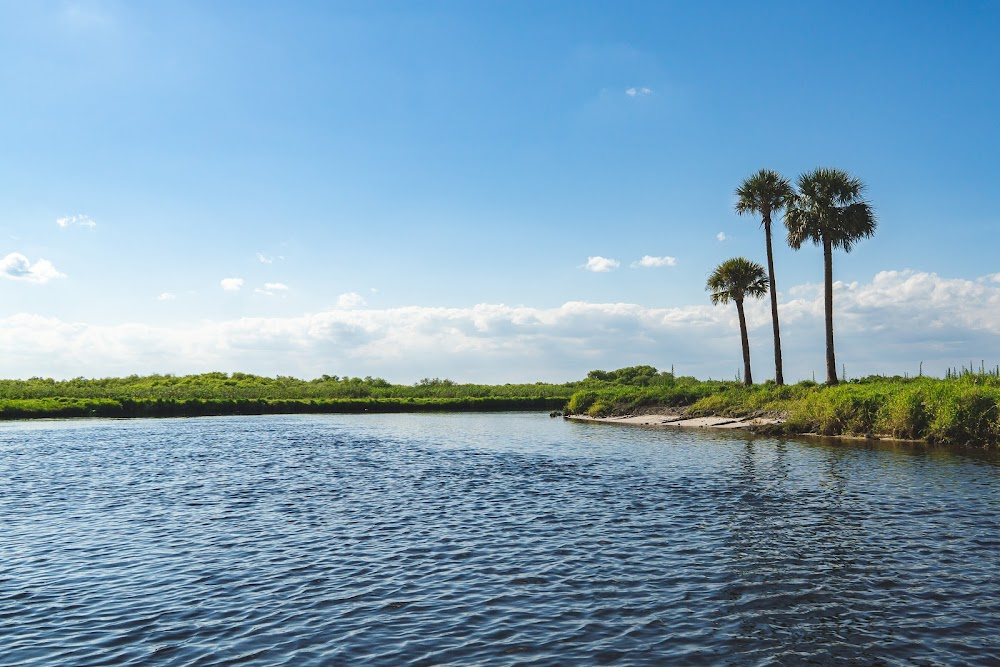 Hunt for the Great White Shark : 