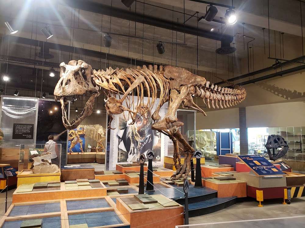 The Story of (Scotty) The T. Rex : 