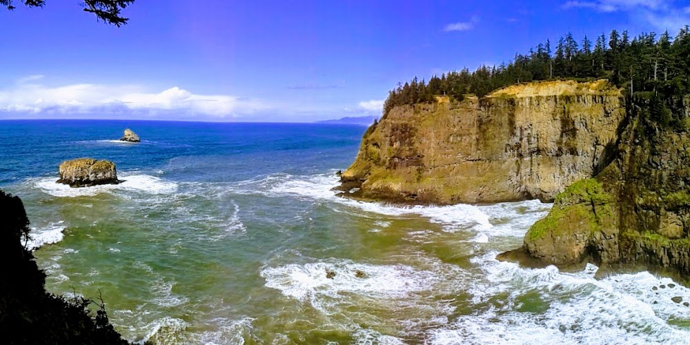 The Tillamook Treasure : 