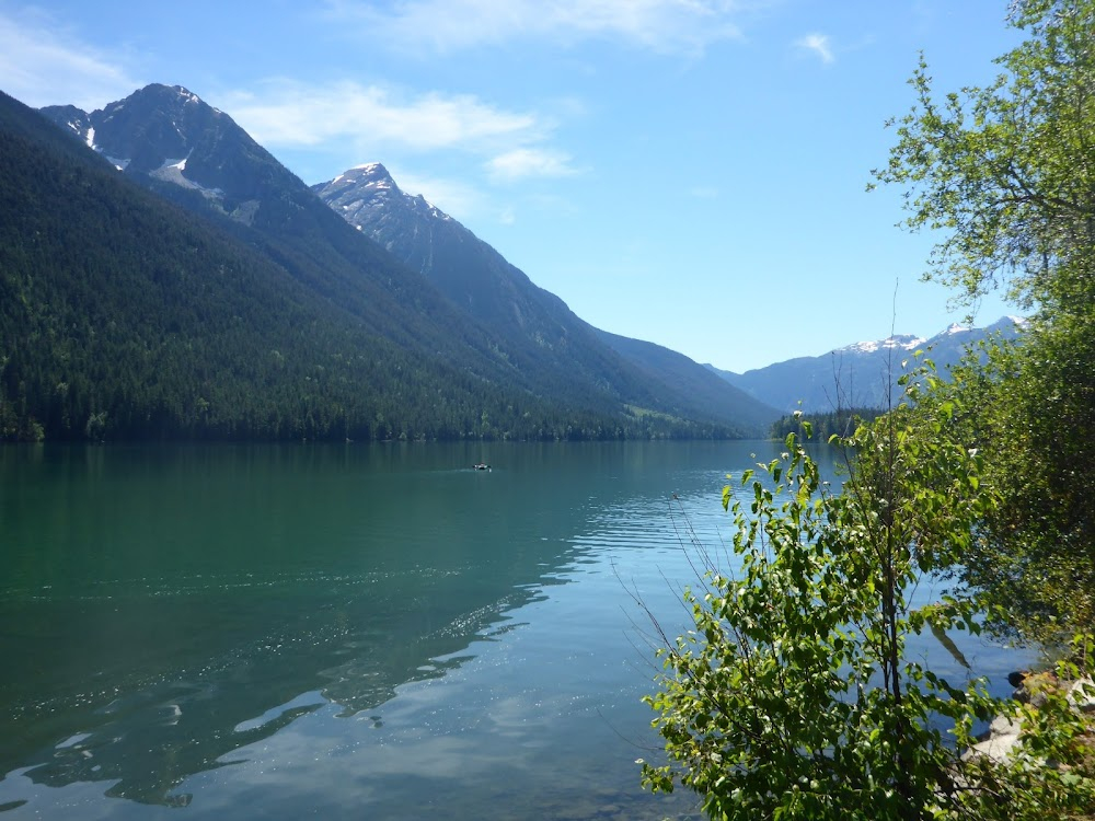 The Trap : cabin by the lake