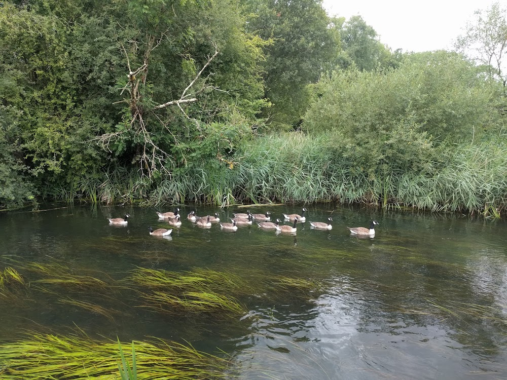 The Triple Echo : filmed entirely on location in Wiltshire, England