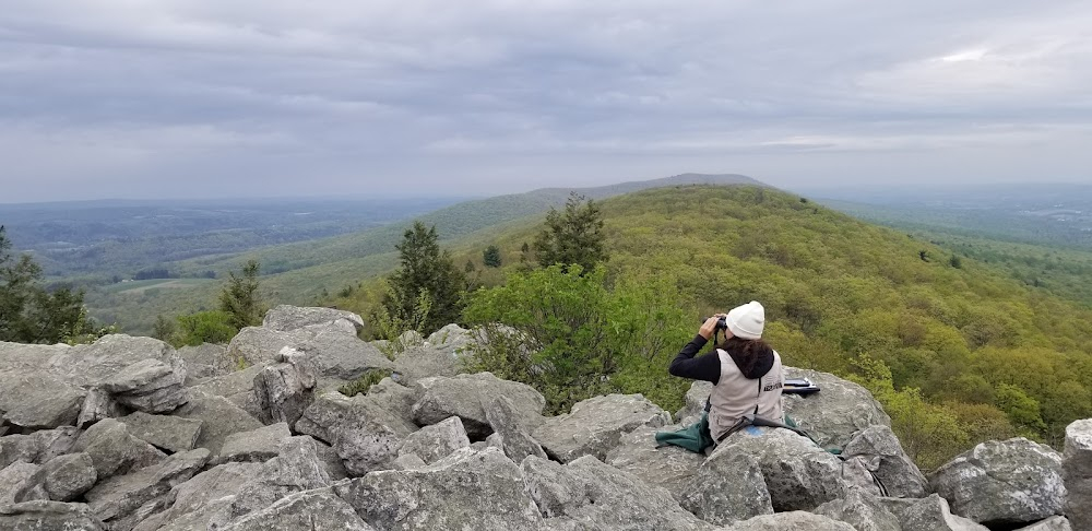 The Upside : Scenic overlook w/ hang gliders