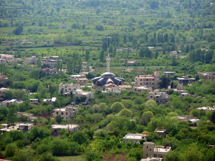 The War Show : as Zabadani