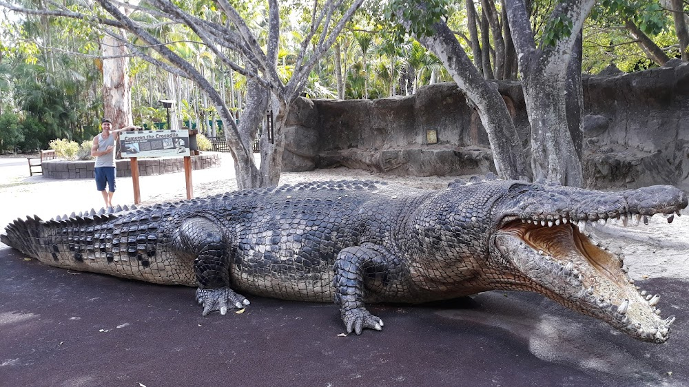 The Crocodile Hunter: A Tribute to Steve Irwin : 