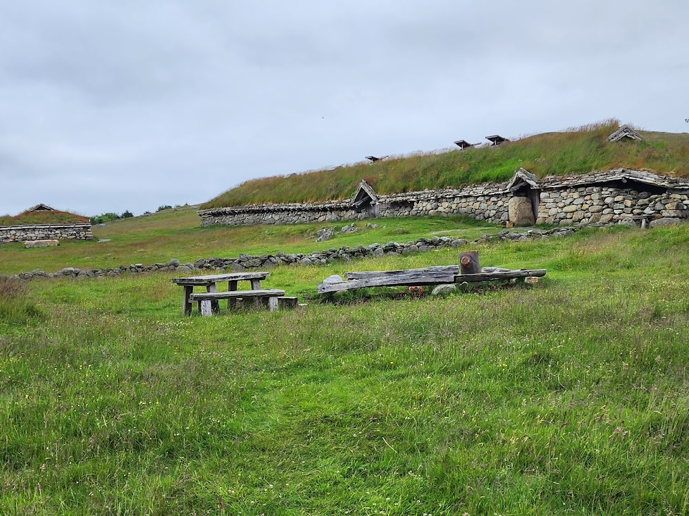 The Wild Huntsman : The Viking Homestead