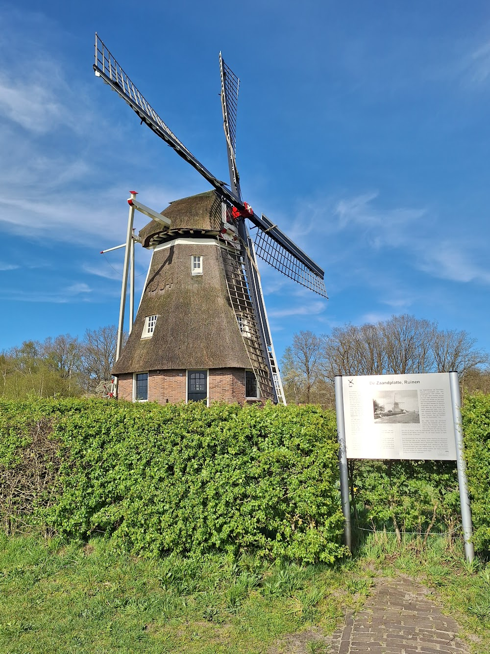 The Windmill Massacre : 