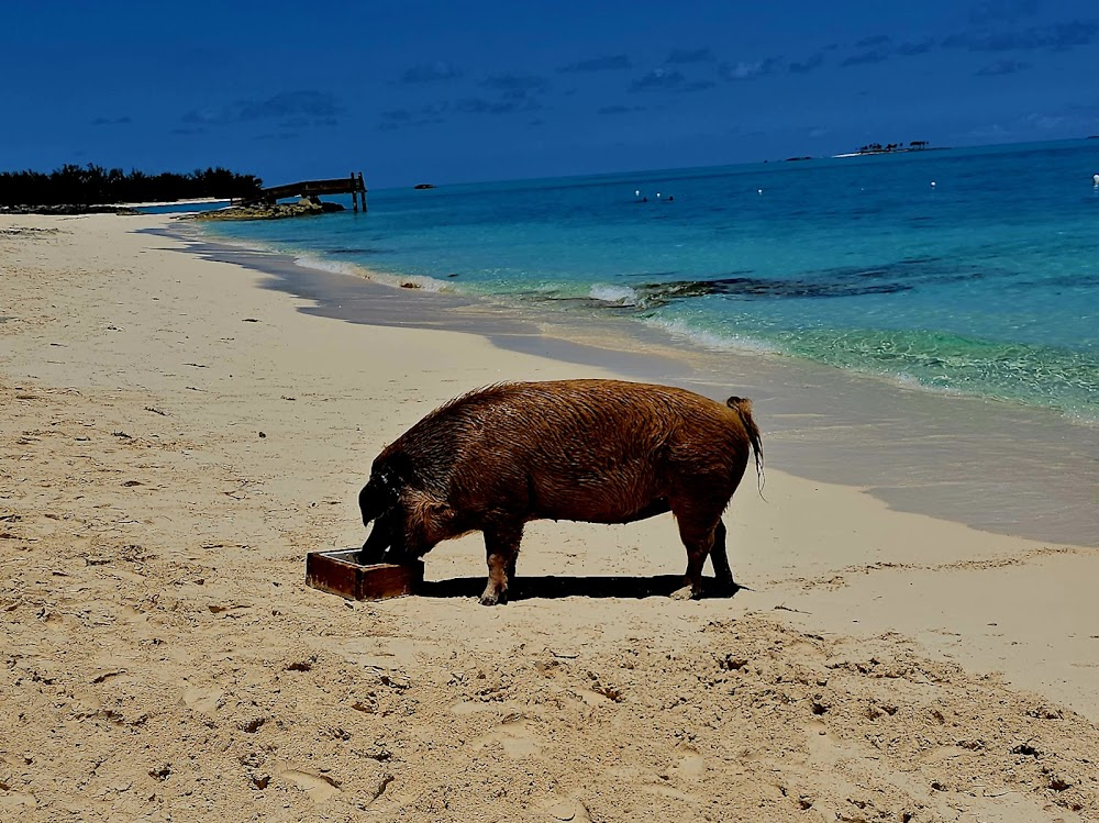 James Bond in the Bahamas : 