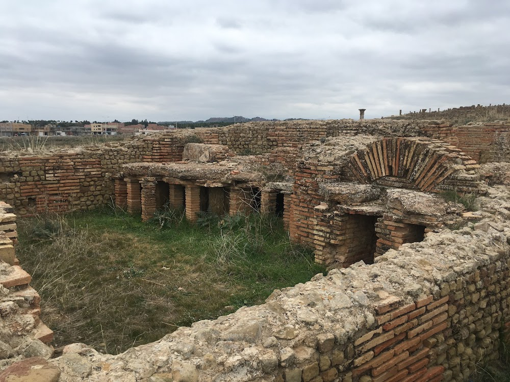 Timgad : Archaelogical site where Jamel excavates