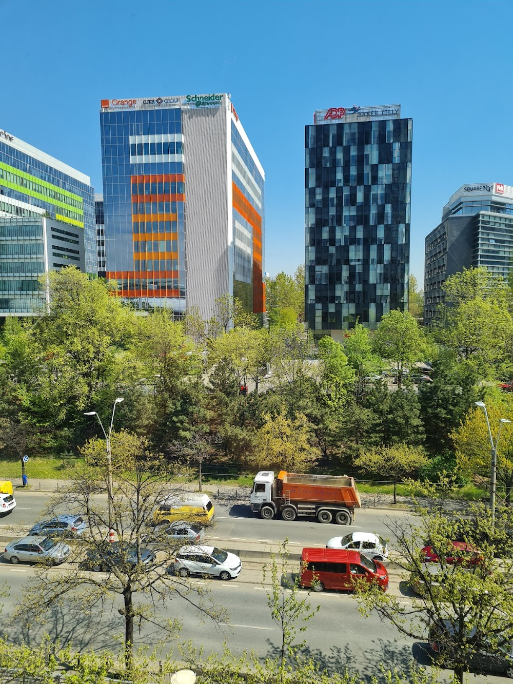 Toni Erdmann : Dacoil offices