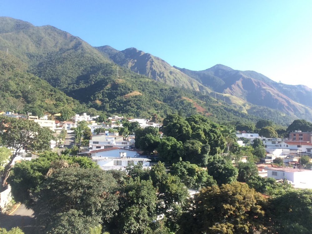 Torta de Calabacín : Casa de Joan y Ricardo