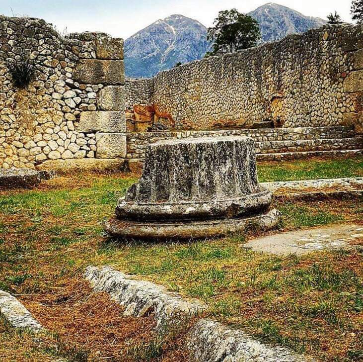 Tra gli alberi : 