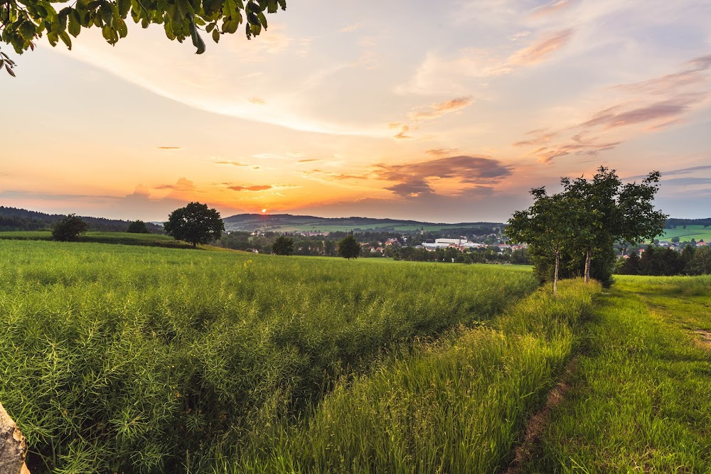 Träume der Lausitz : 