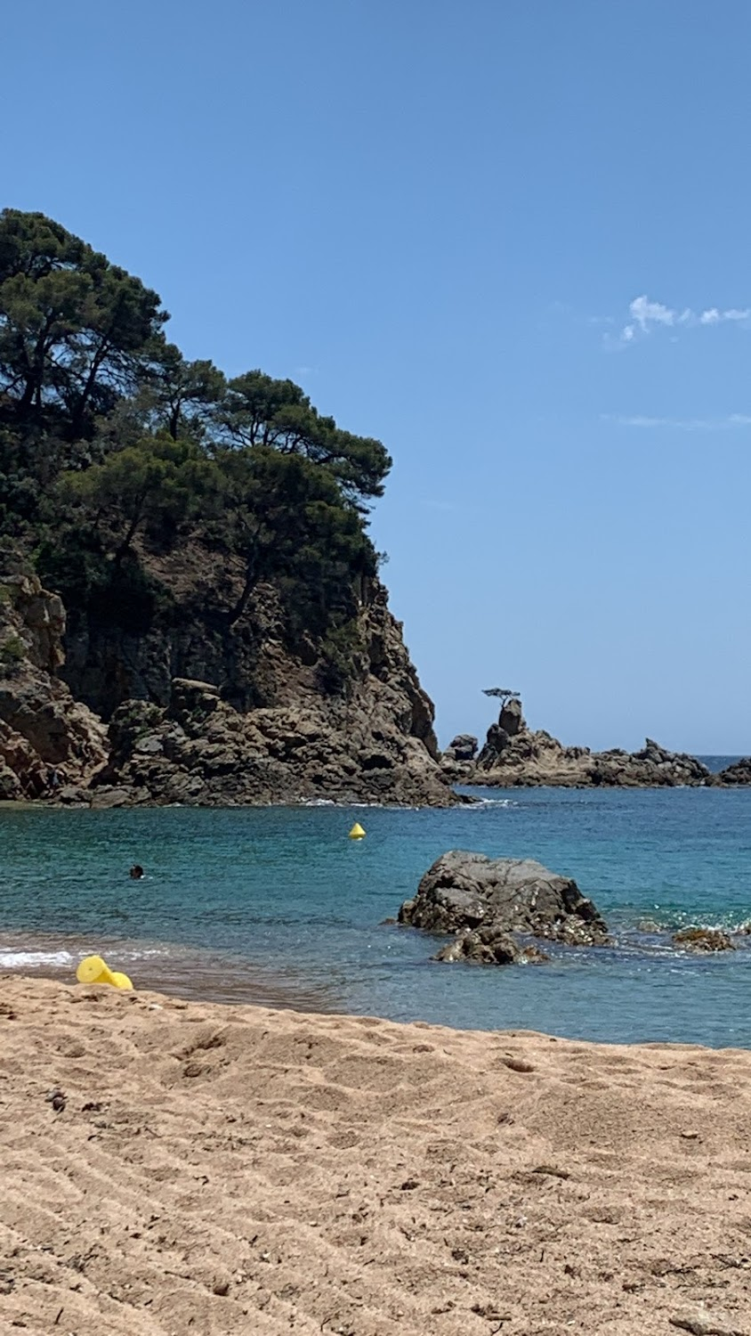 Tres días de libertad : Beach