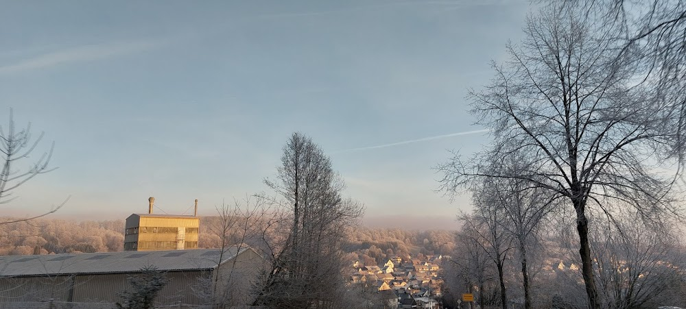 Trübe Wolken : woods