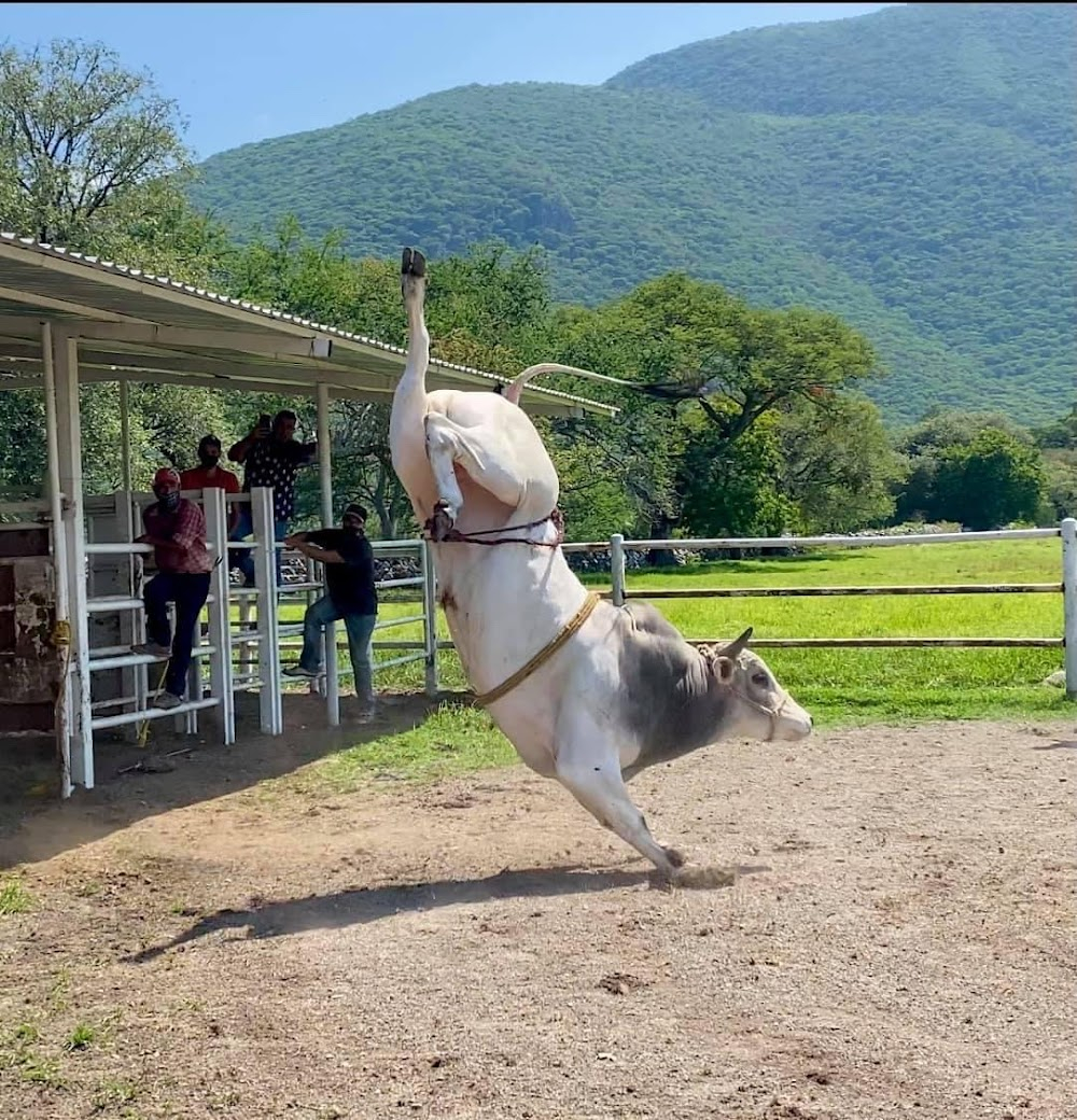 Tu y yo : Tomás Santillana's Ranch