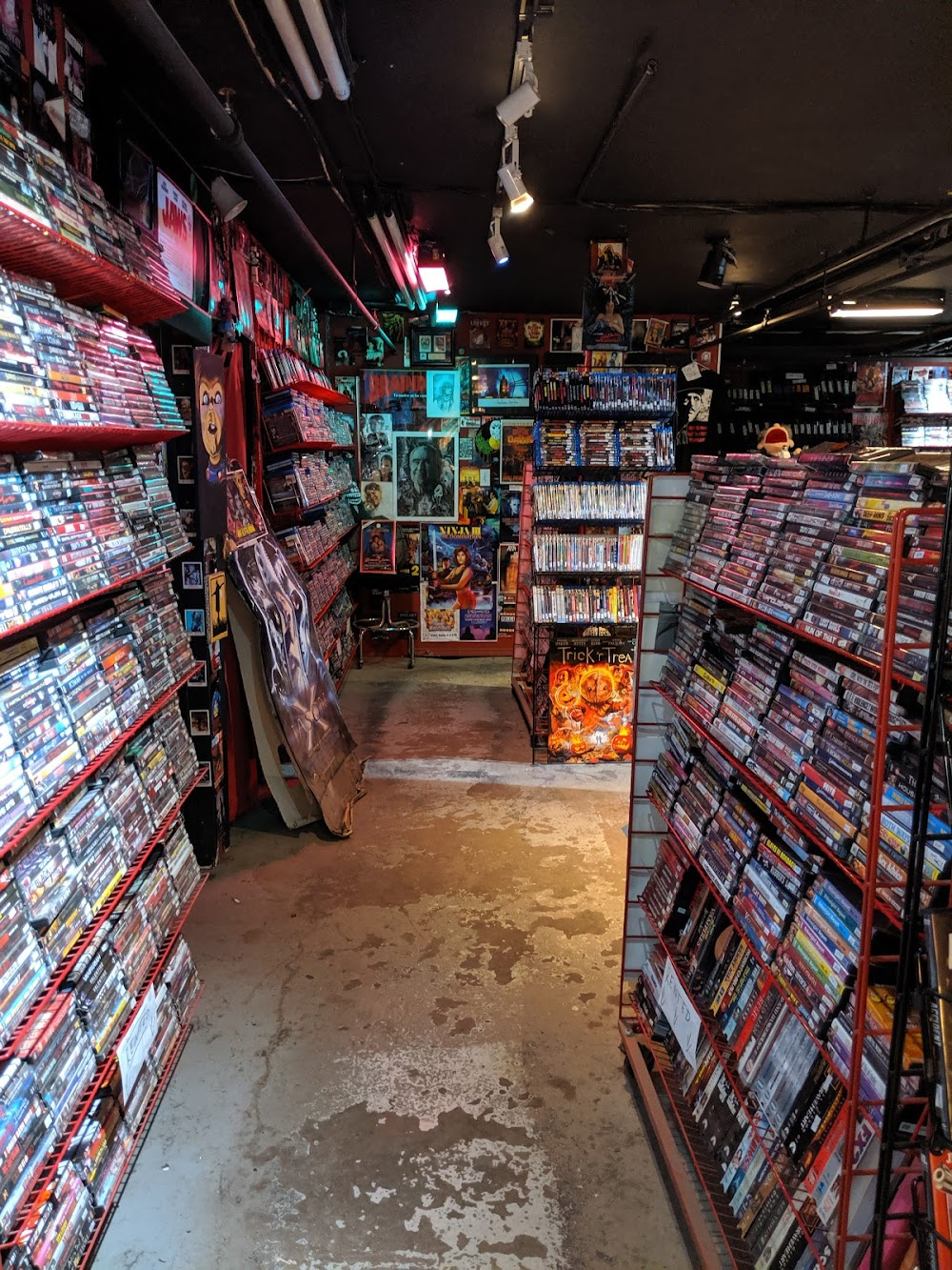 The Last Video Store : 