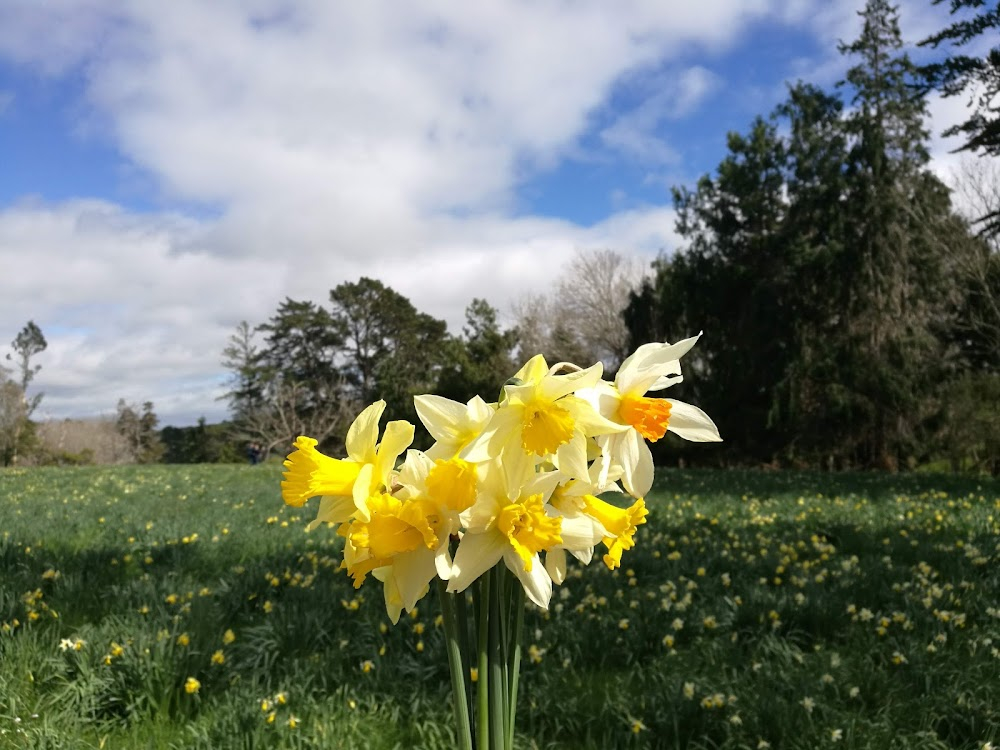 Two Idiots and a Tin Whistle : Cledius Farm