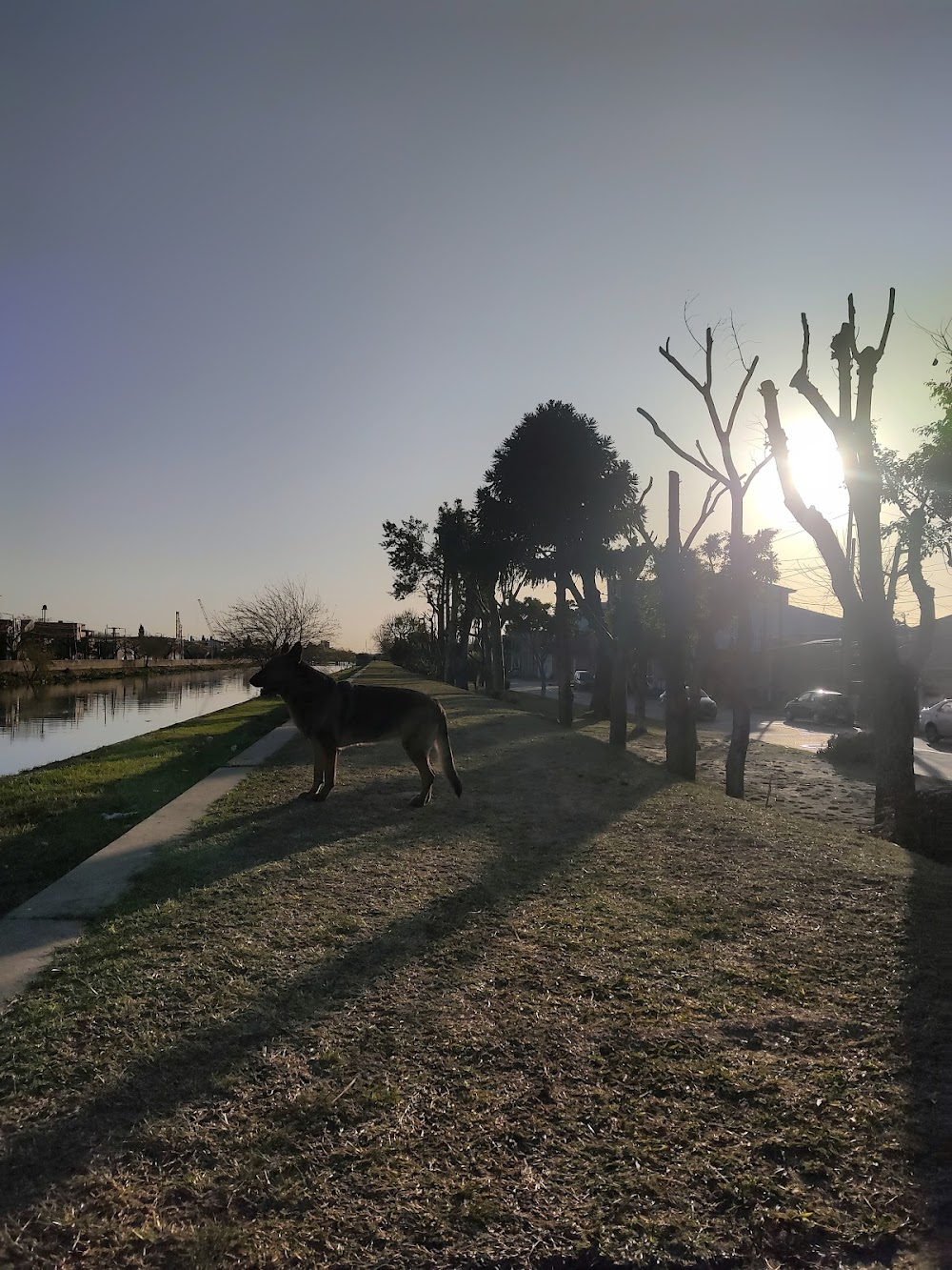 Últimos días de la víctima : Gato Funes' ranch