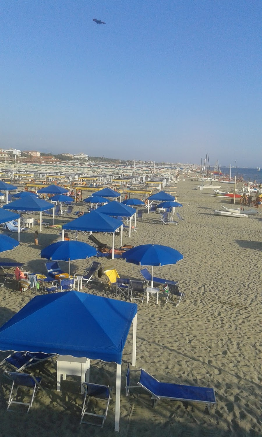 Versilia Experience : 