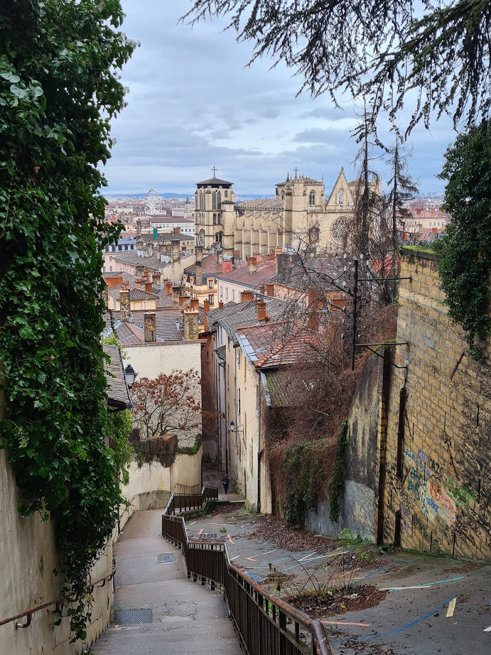 Les dents longues : city steps