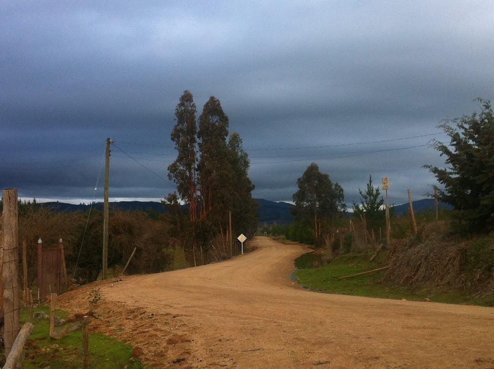 Una mujer fantástica : Marina walking by empty plots at the corner of Eyzaguirre