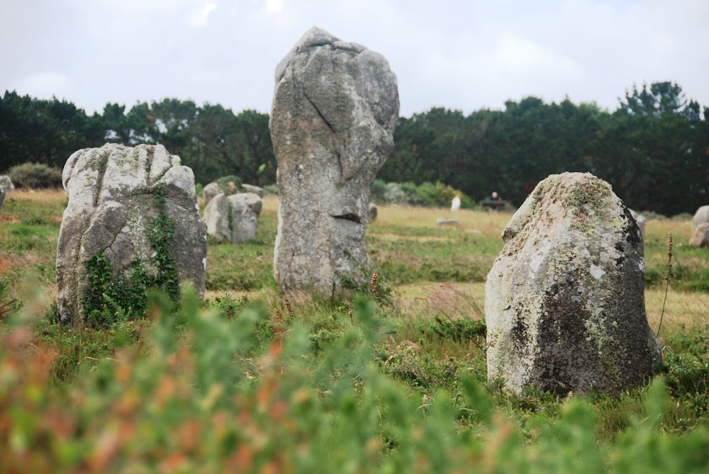 Werner Herzog: Filmemacher : Carnac stones