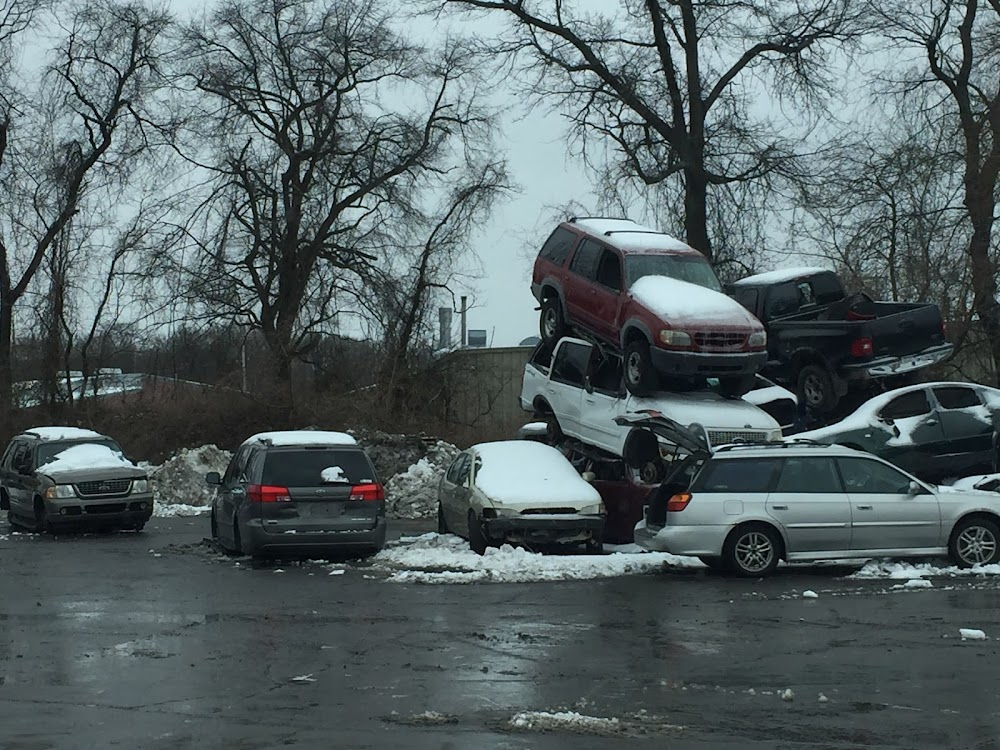 Unexpected : Pennypack Parkway