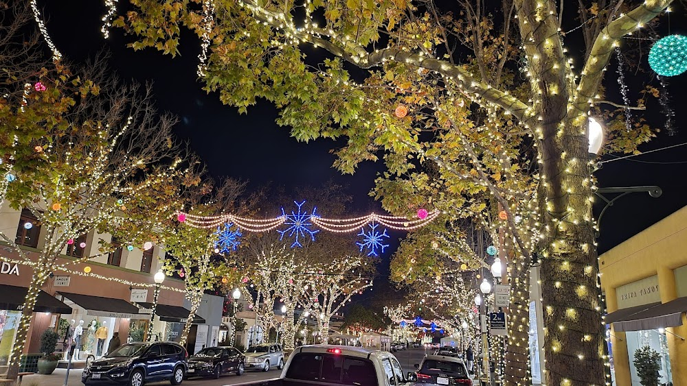 Unleashed : Emma and Diego walking near shops and he retrieves her scarf from the tree