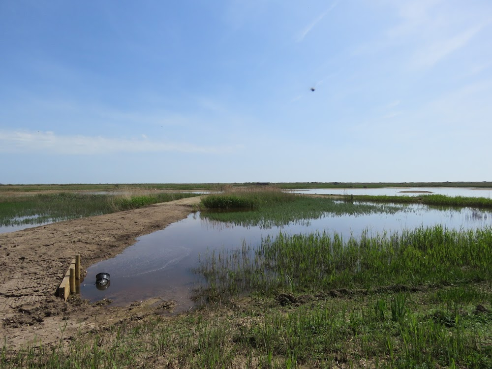 Unnatural Causes : Bird hide