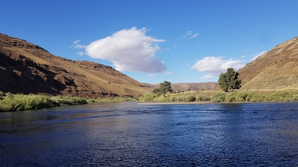 Up the Creek : rapids