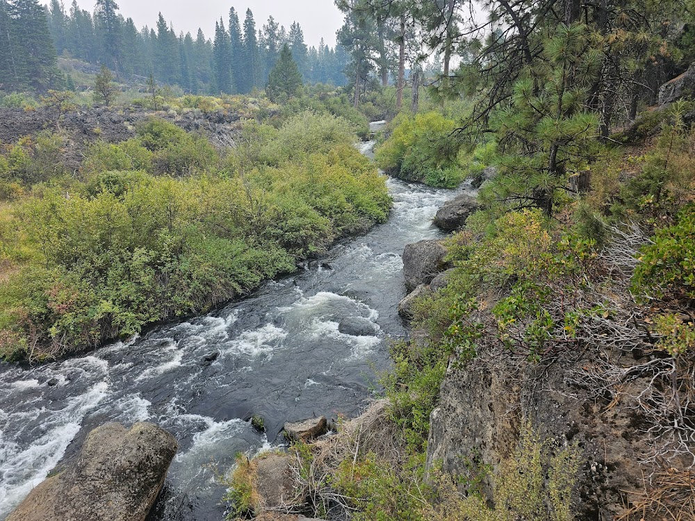 Up the Creek : waterfall