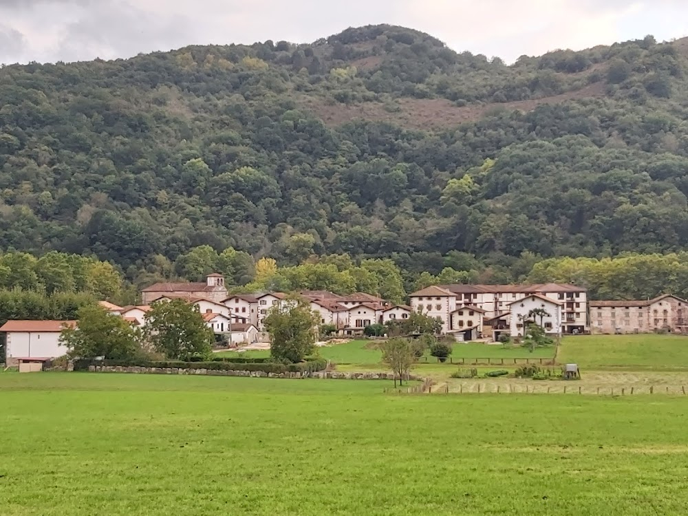 Vacas : Parque Natural Señoría de Bertiz