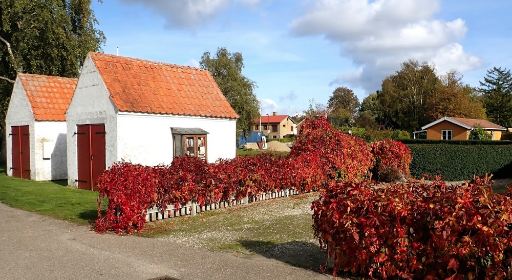 Vagabonderne paa Bakkegaarden : Bakkegaarden