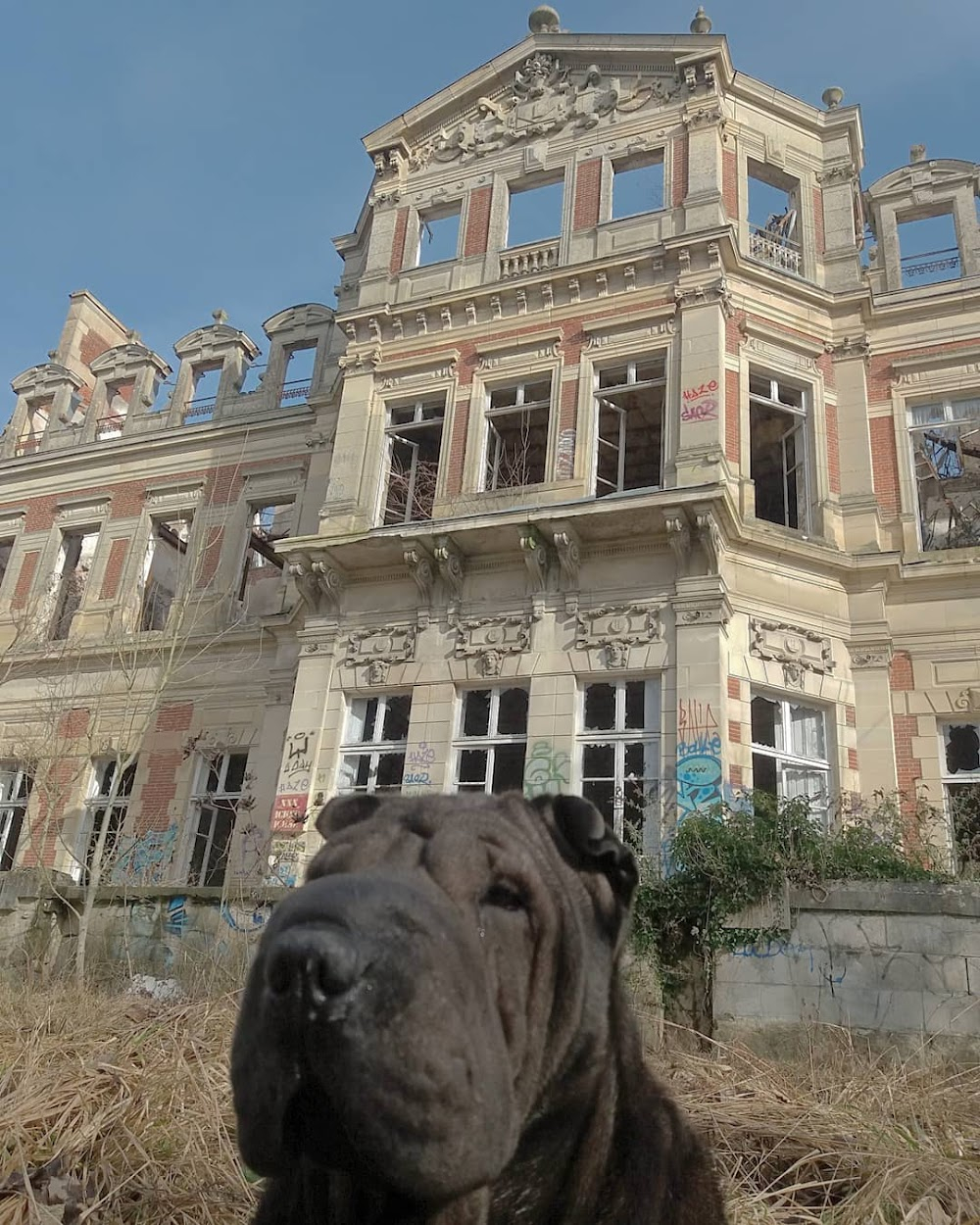 Vénéneuses : old prison