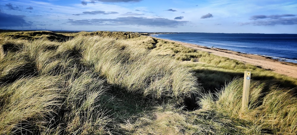 Nasty Neighbours : beach scenes